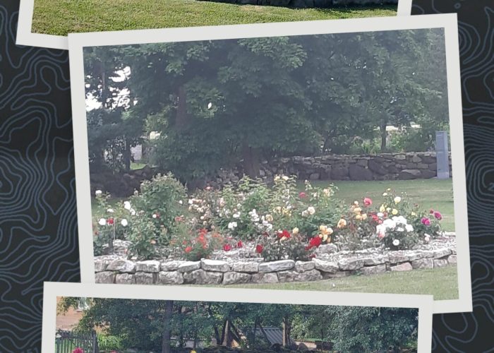 20200703_182528-COLLAGE